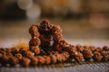 Panchmukhi rudraksha mala